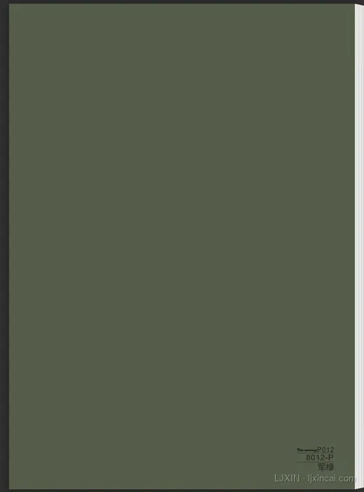 军绿Ⅶ LJ-BP-055
