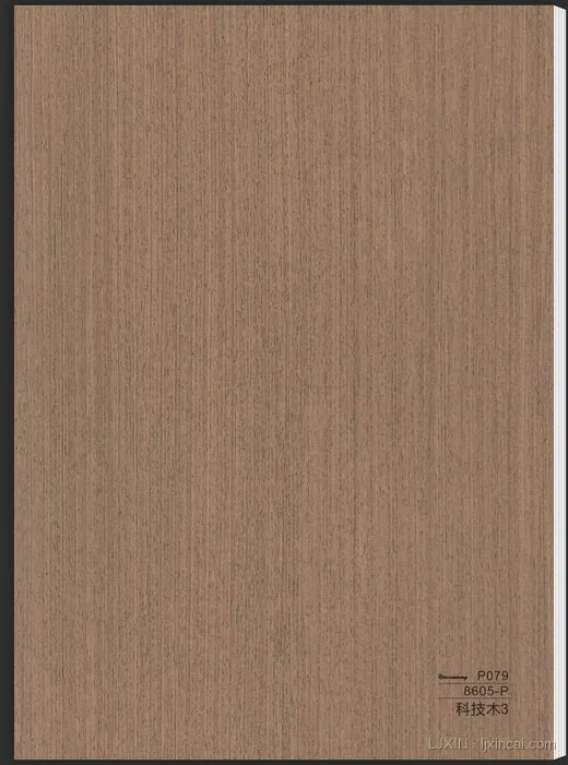 浅木直纹 LJ-BW-012